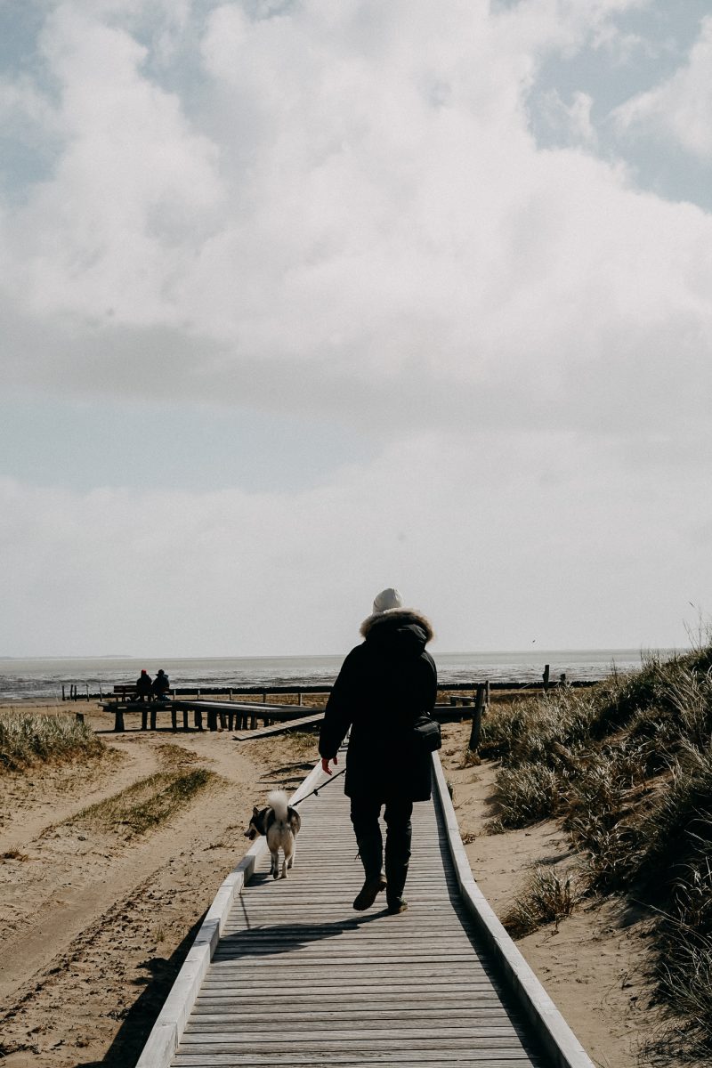 Kurzurlaub Auf Amrum Top Sehensw Rdigkeiten Ausfl Ge Auf Der