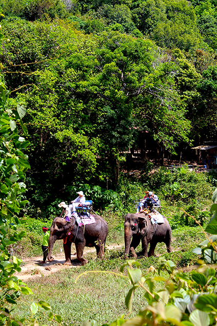 Koh_Lanta_Sightseeing_Sehenswürdigkeiten_Reiseblog_Wasserfall_Nationalpark_Elefanten_reiten