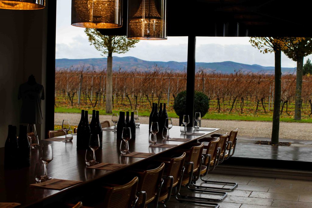 Mercure Weinlese Reiseblog Mannheim Weingut Markus Schneider