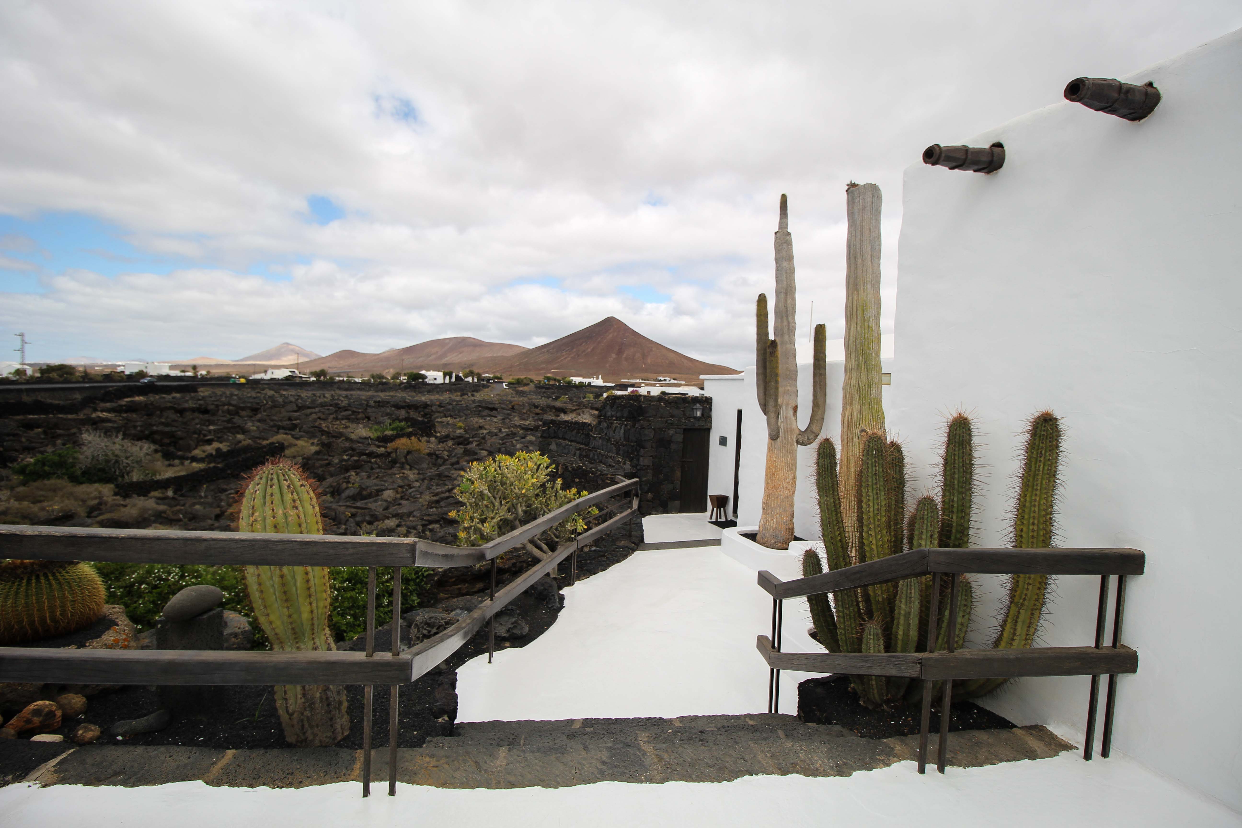 Top 10 Tipps Lanzarote Sehenswürdigkeiten Insider Tipps Lanzarote Spanien Fundación César Manrique Kaktus Lava Reiseblog