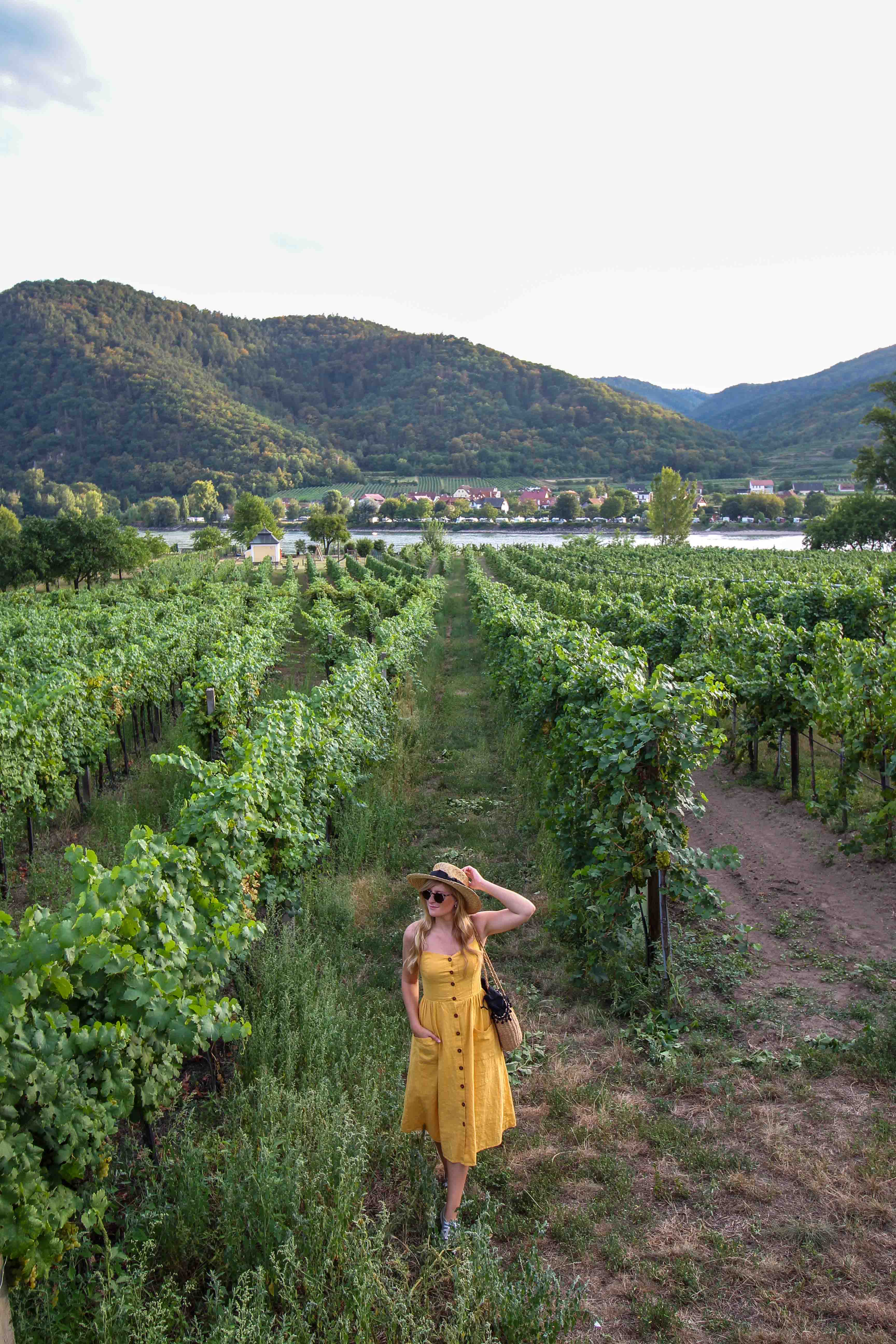 Wachau Österreich Dürnstein Weinregion Insider Tipps Donaukreuzfahrt Arosa Weinanbaugebiet Reiseblog
