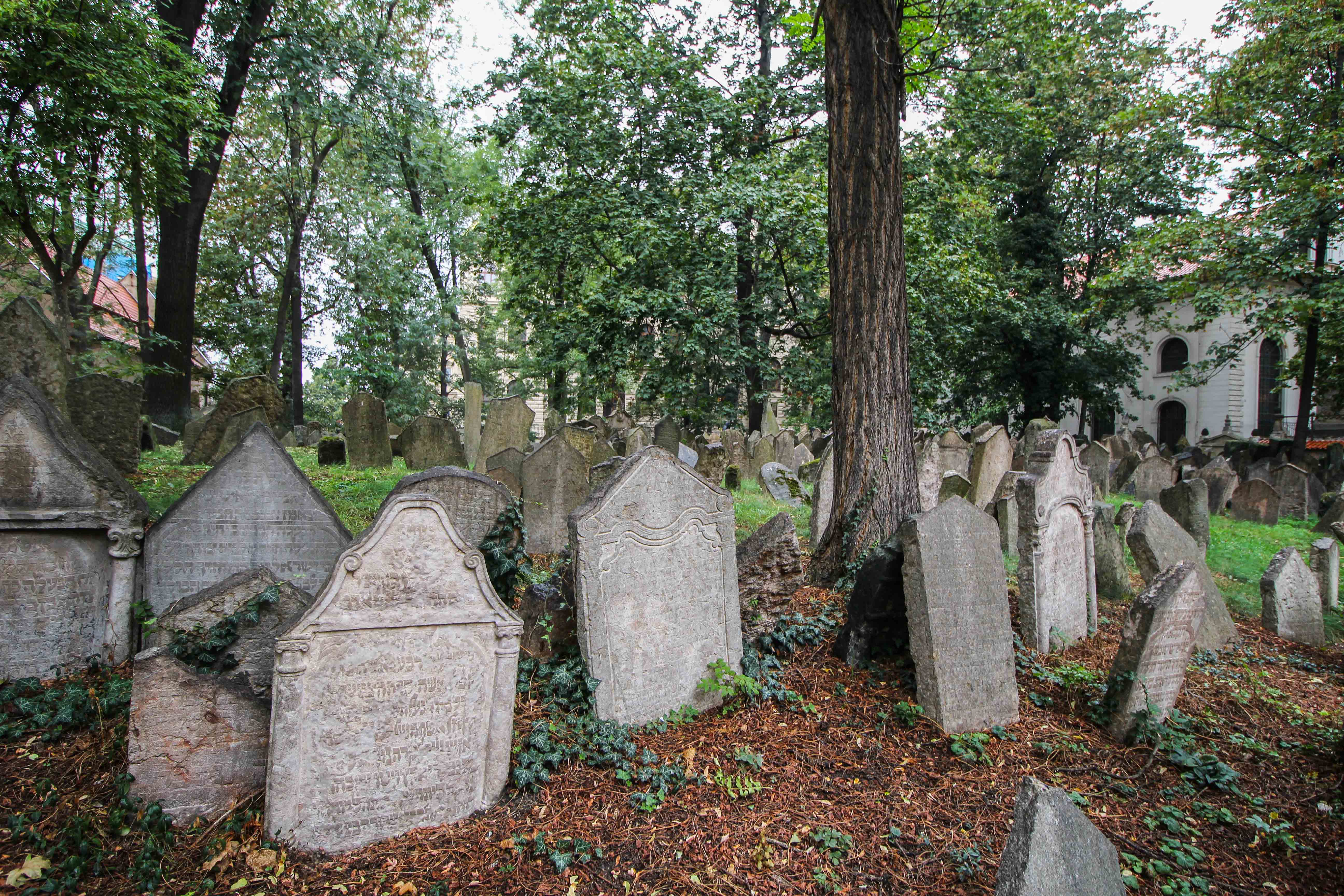 Top 10 Tipps Kurztrip Prag alter jüdischer Friedhof jüdisches Viertel Sehenswürdigkeiten Prag Insidertipps Reiseblog 2