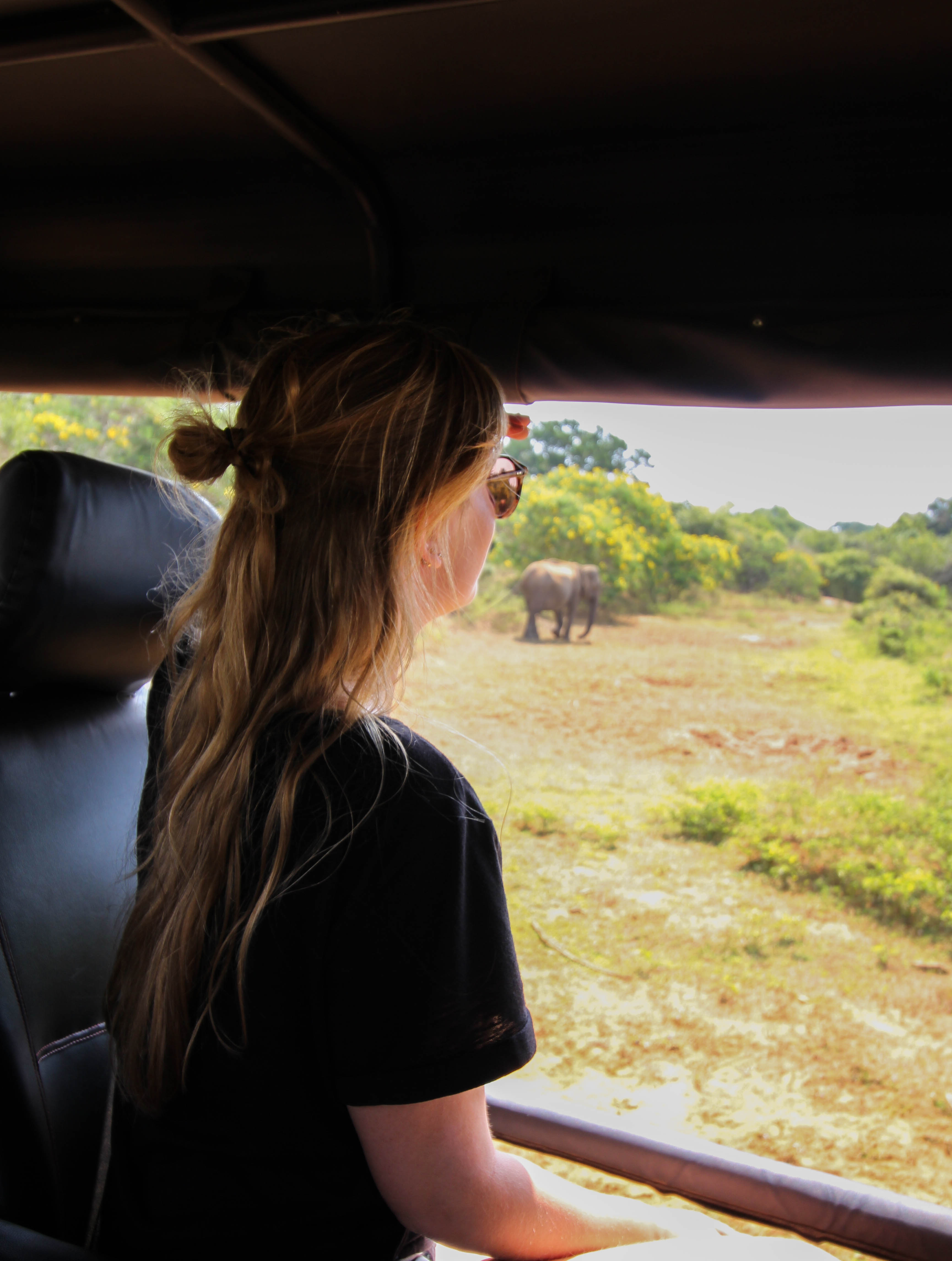 Yala Nationalpark Safari Yeep Sri Lanka Reiseroute 3 Wochen Rundreise Sri Lanka Süden Reiseblog Tipps