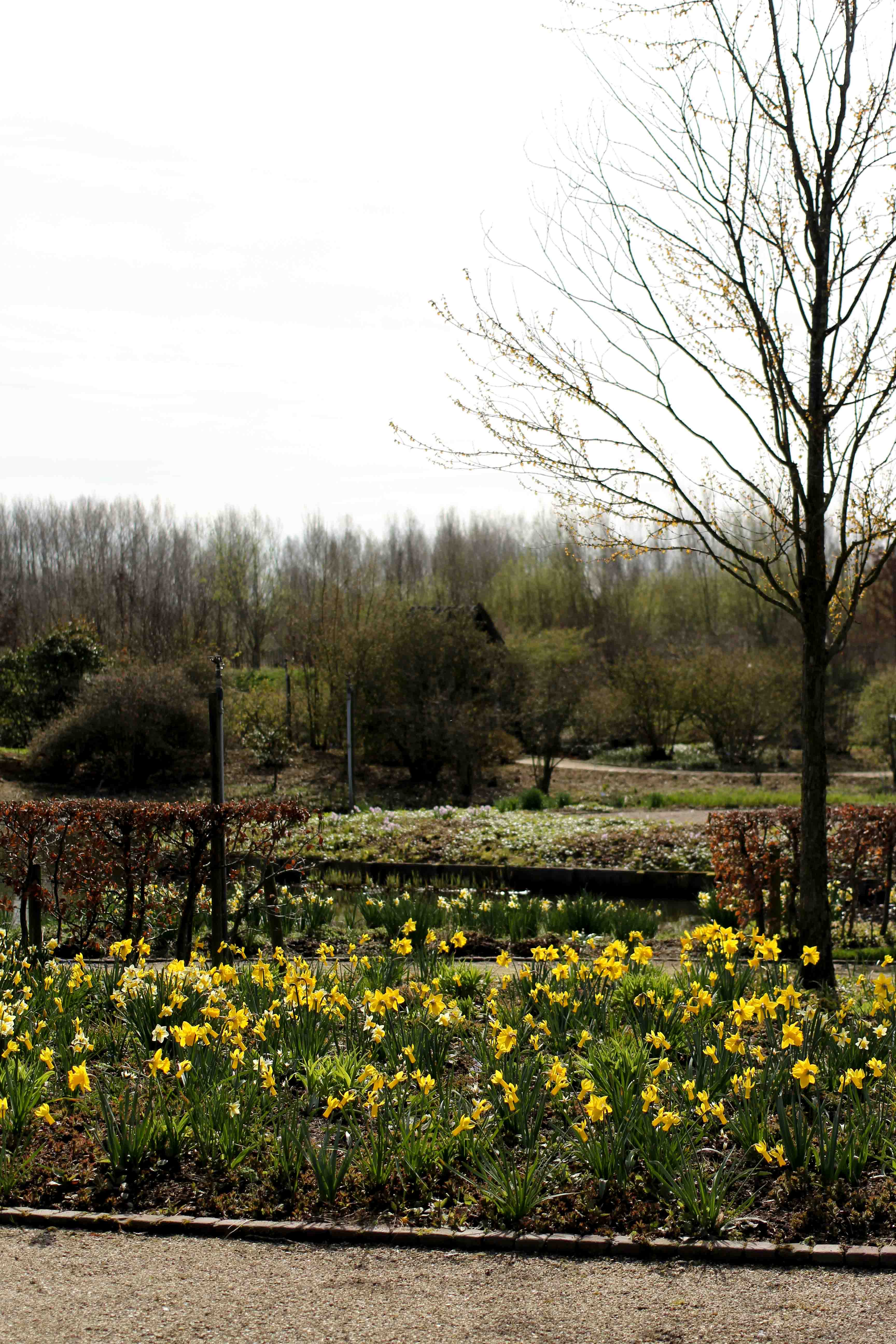die Gärten von Appeltern Holland Wochenendtrip Tuinen van Appeltern das andere Holland Reiseblog Ausflug Deutschland Blumen