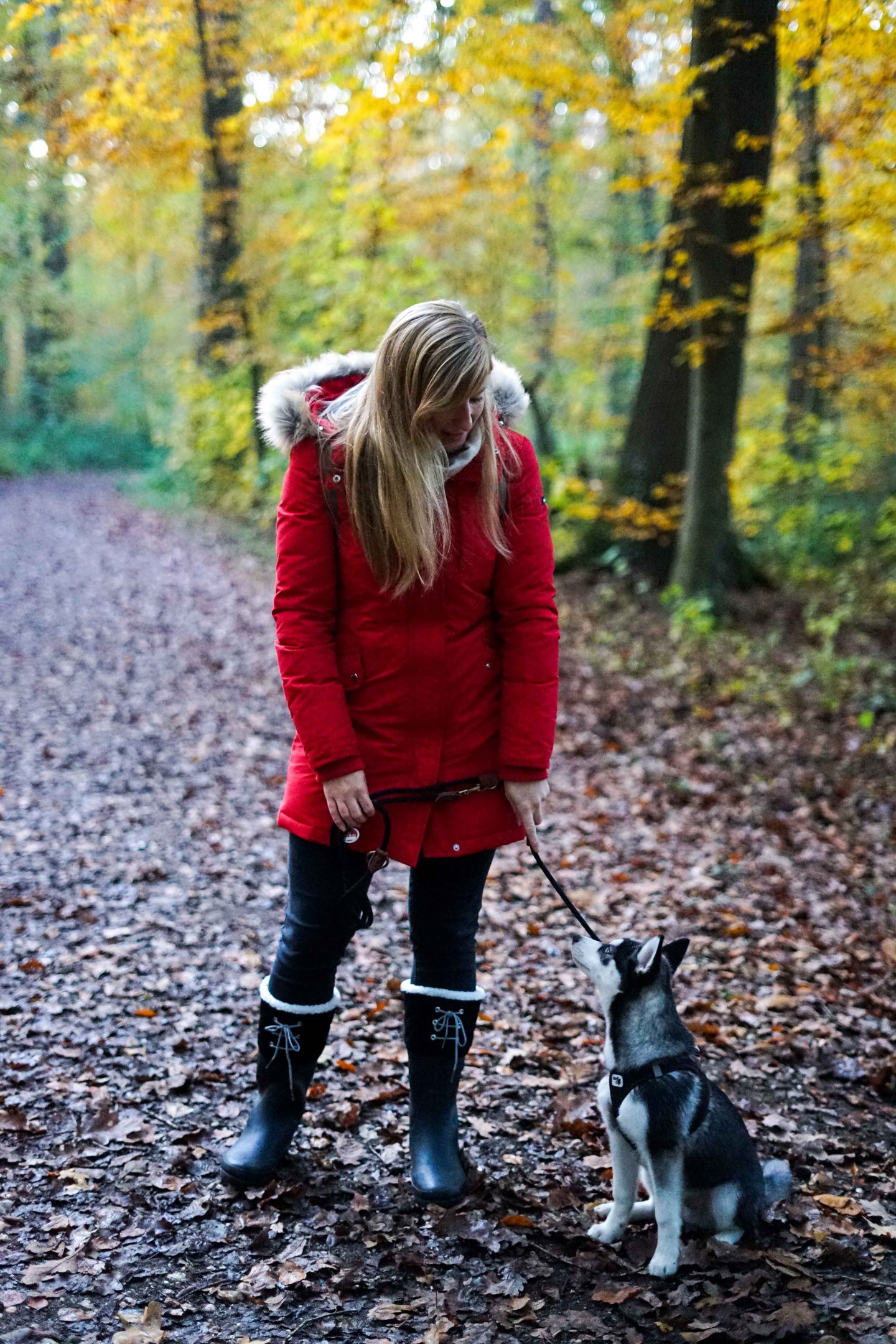 Winterstiefel Trend 2019 Wintertrends Winter Outfit Gummistiefel gefüttert wandern Hund Pomsky Kottenforst Bonn Blog 92