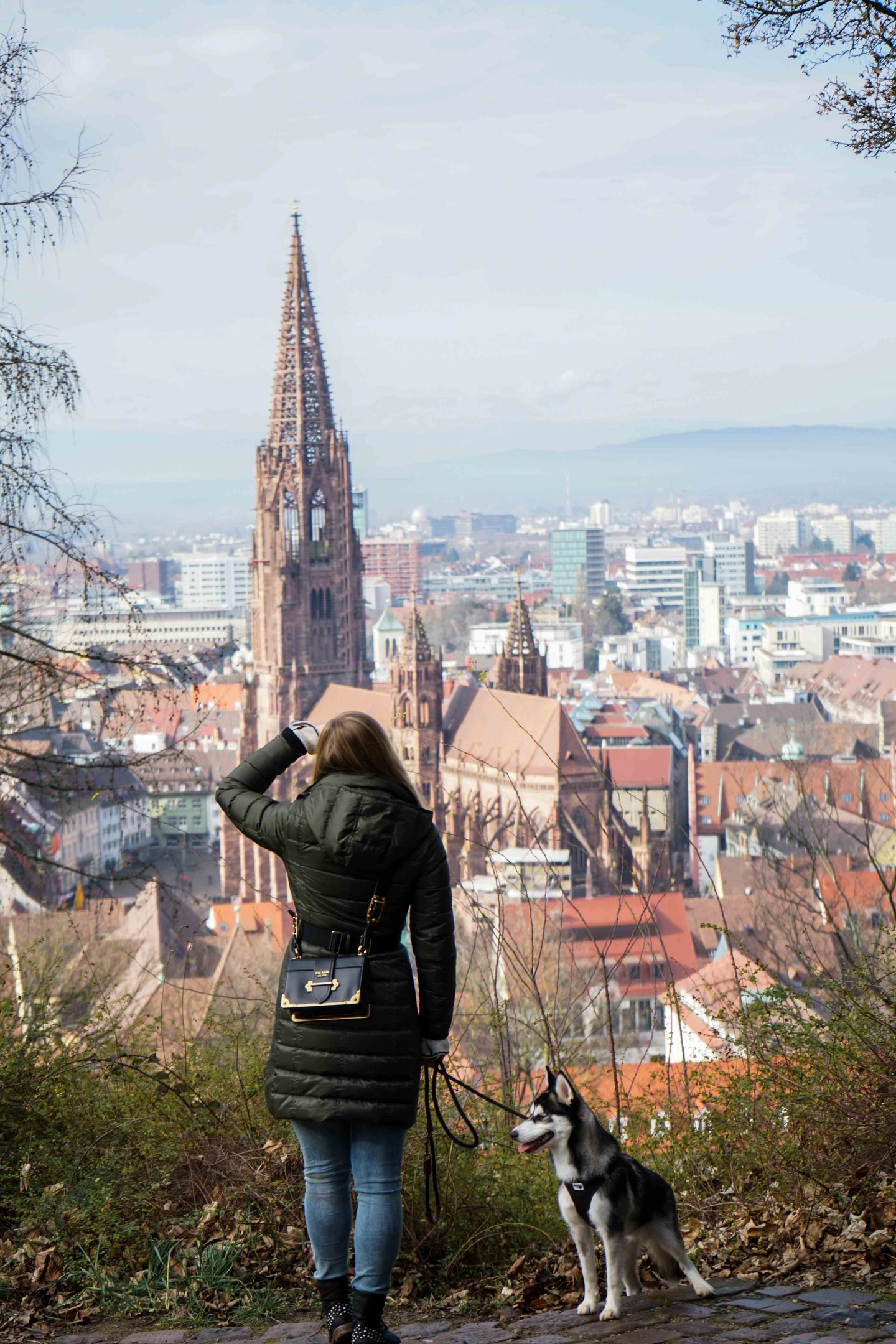 Freiburg Breisgau Reiseblog Sightseeing Dom Kanonenplatz Schlossberg Wandern