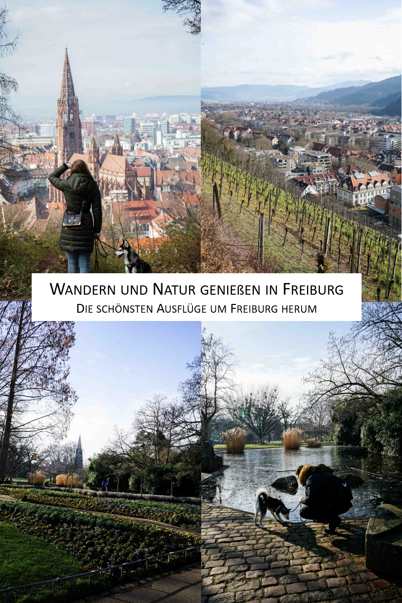 Wandern Freiburg Natur Tipps Ausflüge Freiburg Stadtgarten Reiseblog