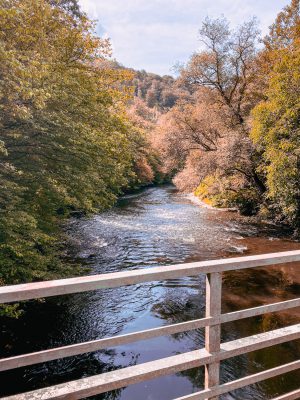 Wandern im Bergischen Land NRW Rundwanderweg Rüden Wanderroute einfach Wupper Reiseblog 1