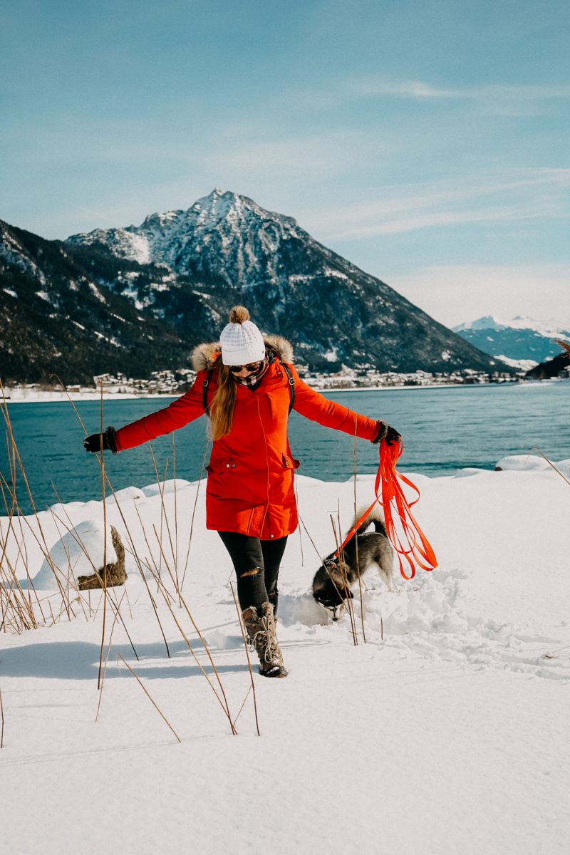 Urlaub mit Hund 1 Woche Route Heidelberg, Achensee, Rothenburg o.d