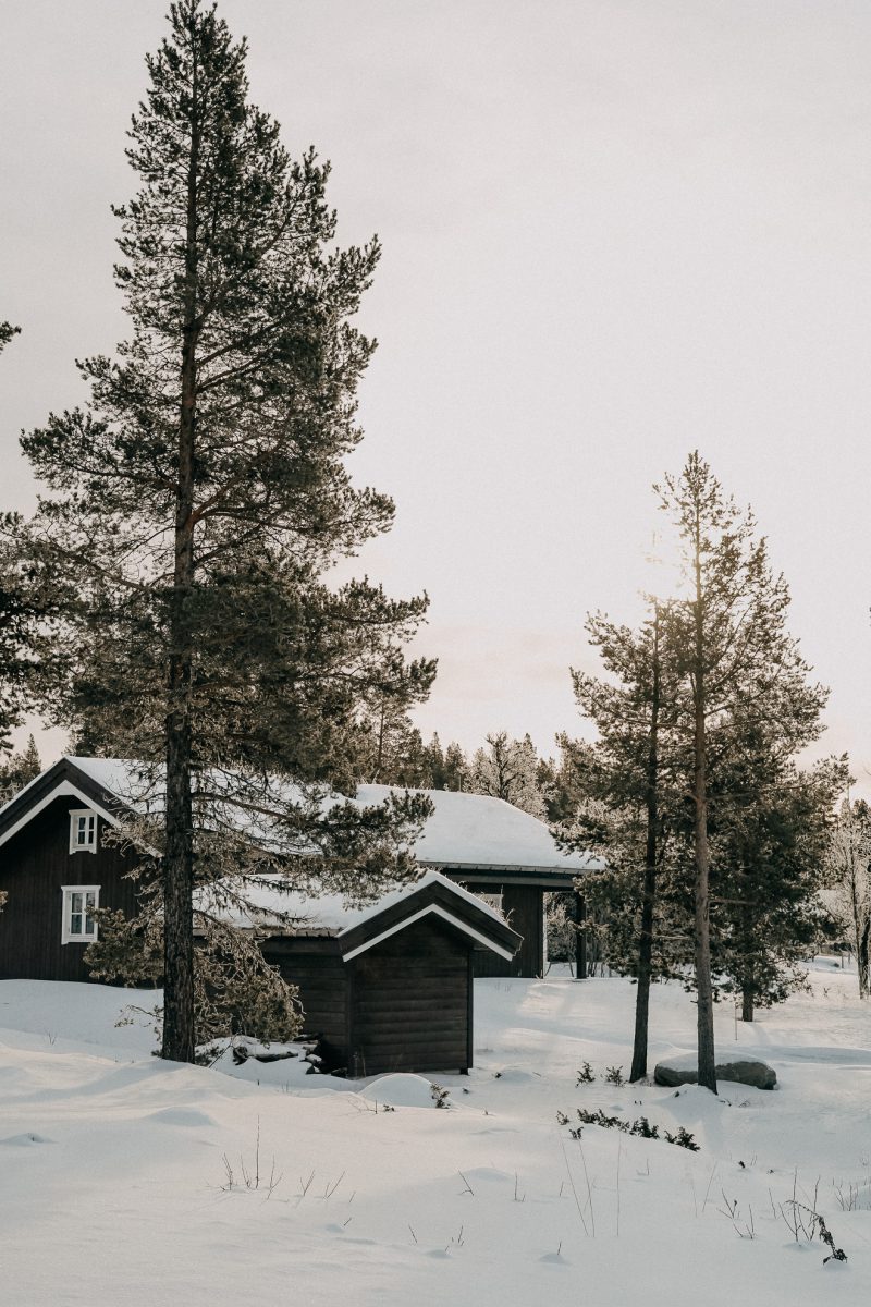 Norway Winter 3