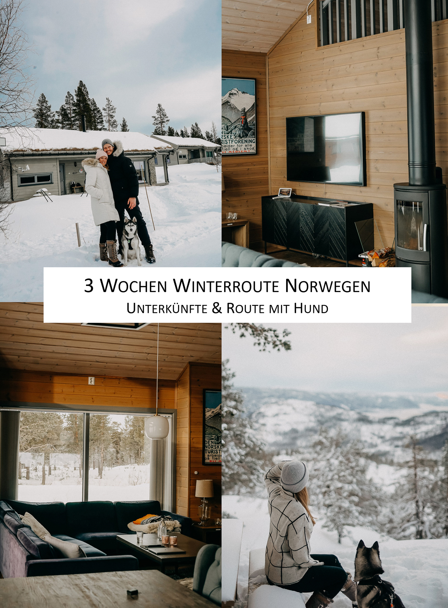Norwegen Rundreise Winter Norwegen Auto Reisen mit Hund Unterkünfte Airbnb Reiseblog