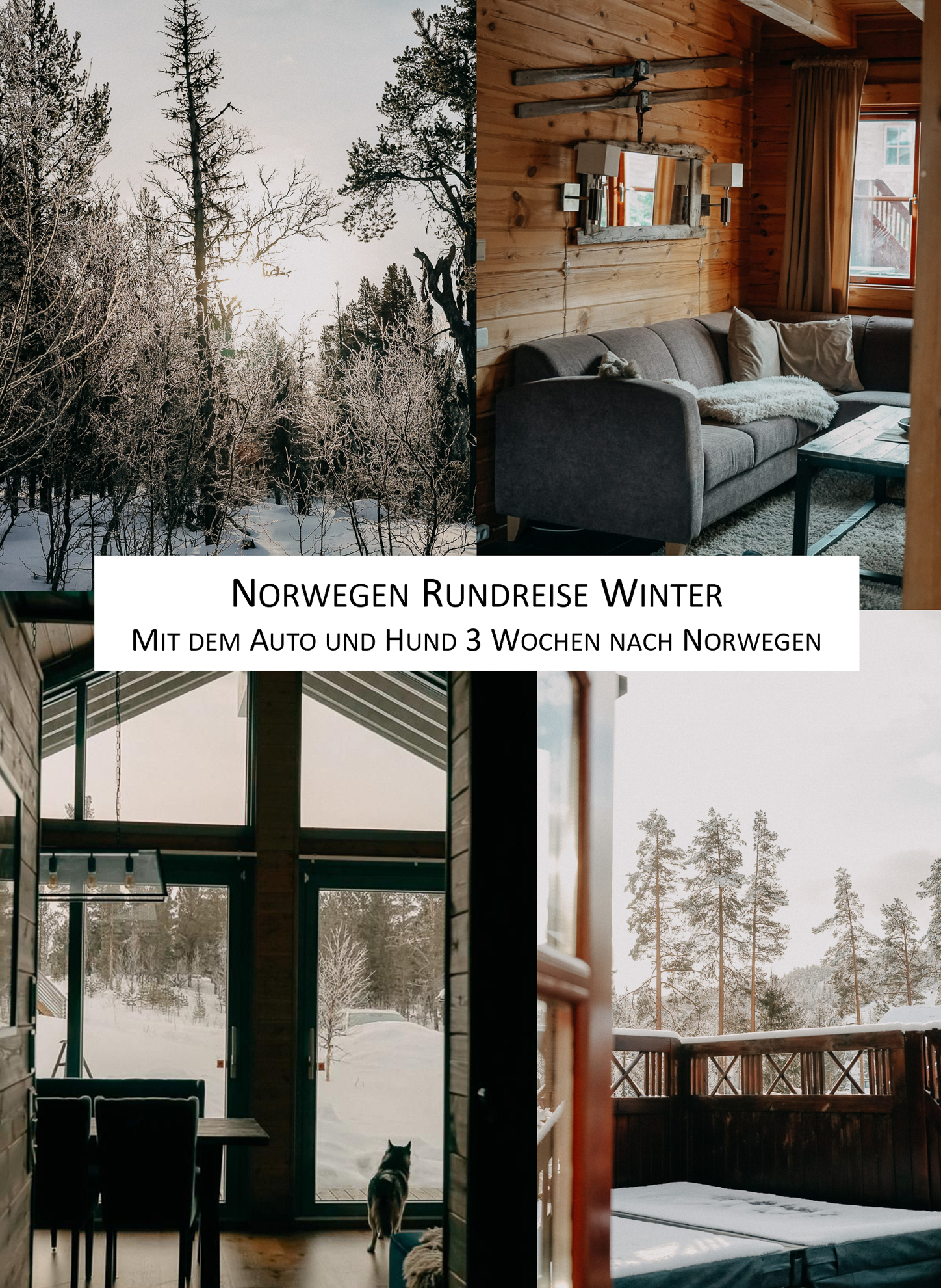 Norwegen Rundreise Winter Norwegen Auto Reisen mit Hund Winterroute Reiseblog
