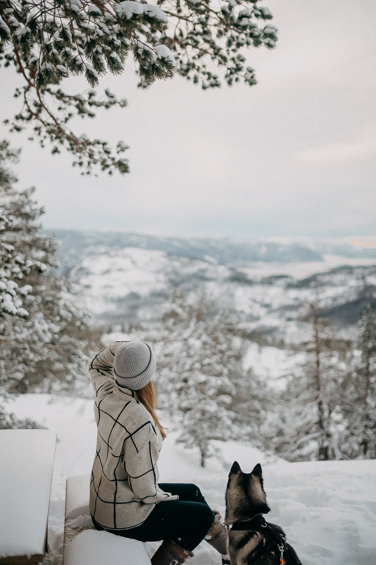 Norwegen Winterurlaub Winterroute Autoreise Reiseblog Reisen mit Hund Tipps 3
