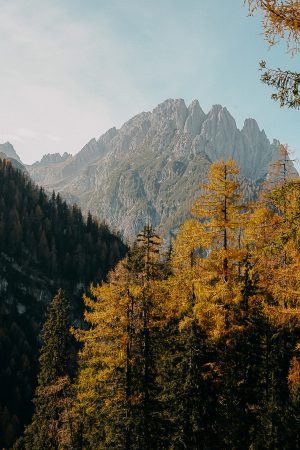 Top Herbstwanderung Osttirol Österreich Wandern Lienzer Dolomiten Urlaub Hund Reiseblog 3