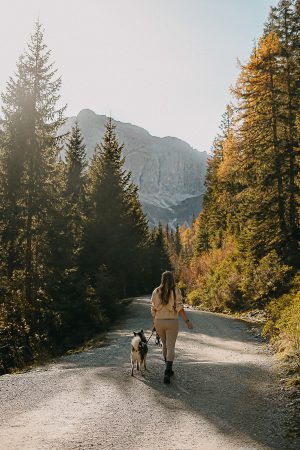 Top Herbstwanderung Osttirol Österreich Wandern Obertilliach Klapfsee Urlaub Hund Reiseblog 92