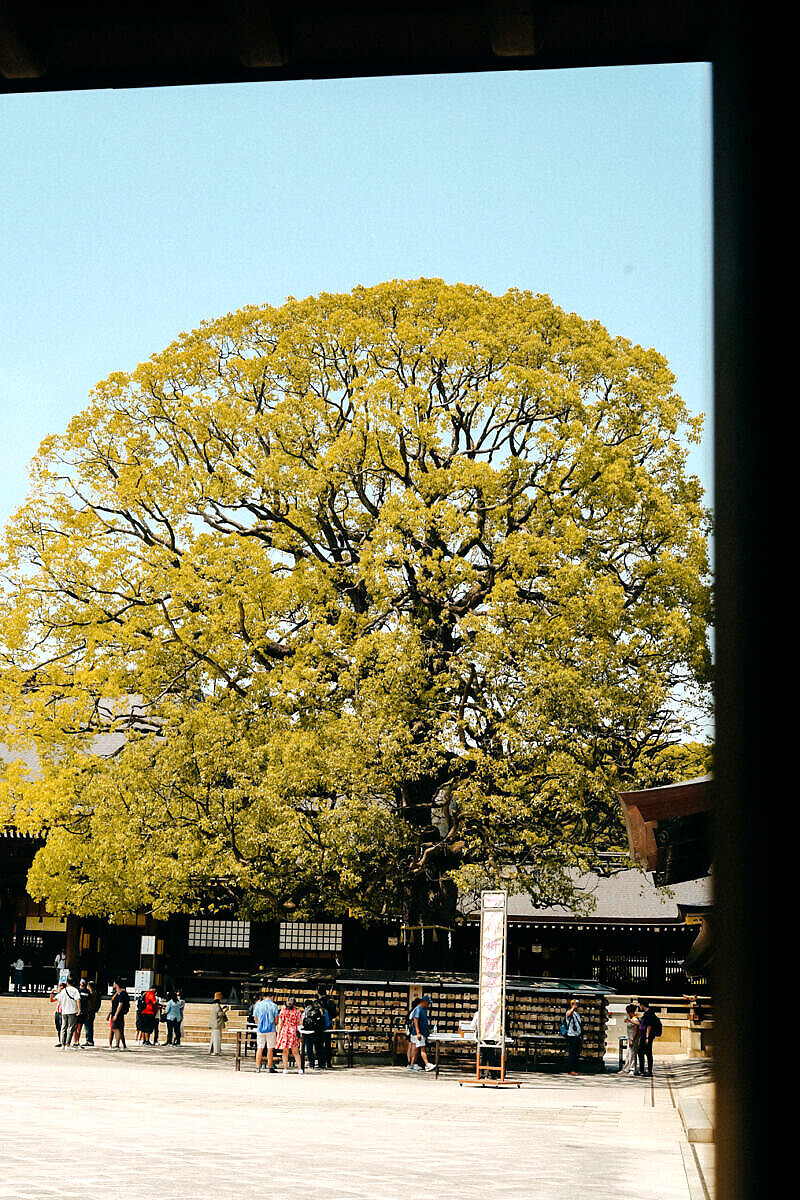 Eine unvergessliche 3wöchige Reise durch Japan Unsere perfekte Route