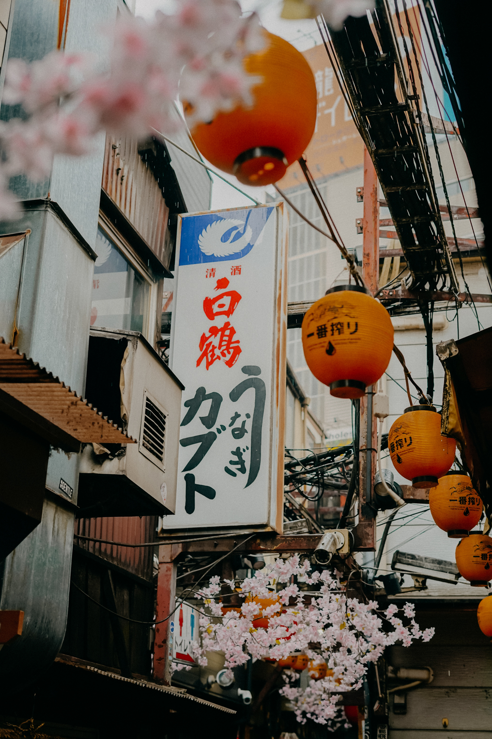 3 Wochen Rundreise Japan Route Tokio Tipps Reiseblog