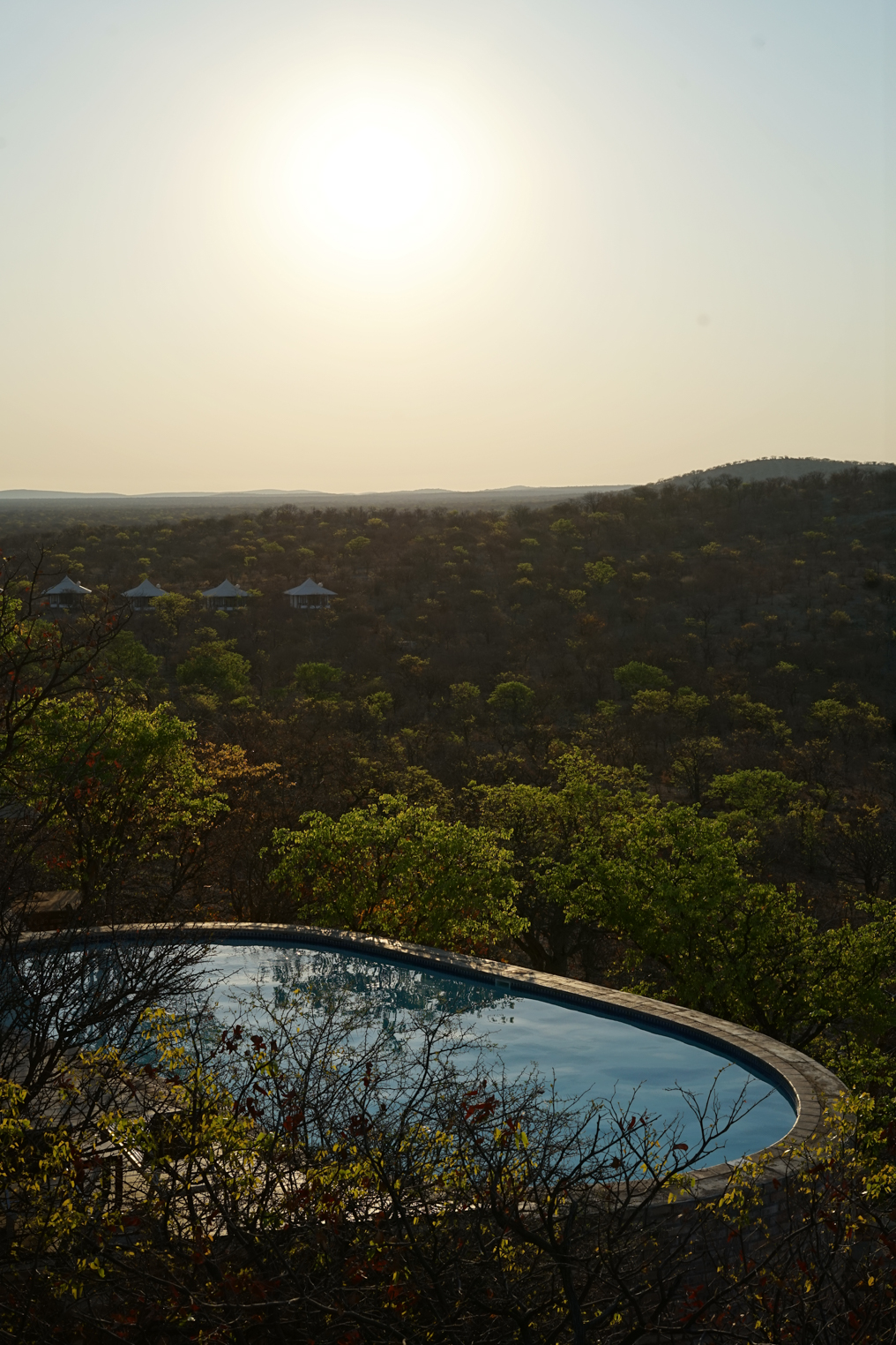 Hotel Namibia Etosha Nationalpark Etosha Safari Lodge Pool Sundowner Ausblick