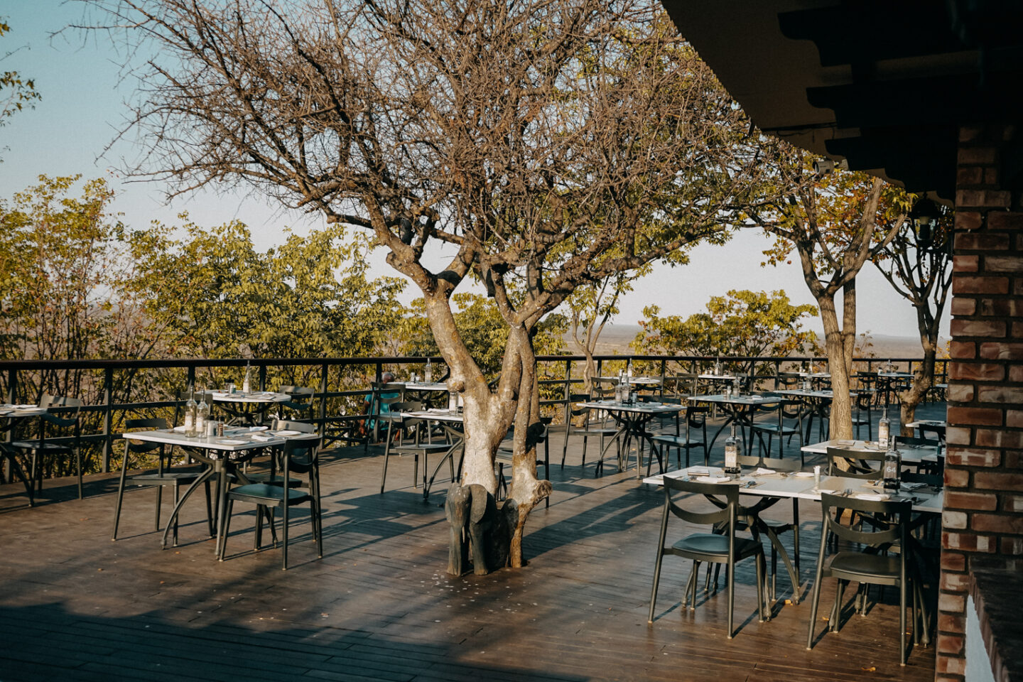 Hotel Namibia Etosha Nationalpark Etosha Safari Lodge Terrasse Restaurant Dinner Terrasse Gondwana