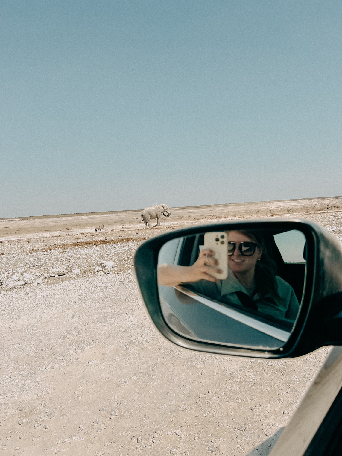 Sehenswürdigkeiten Namibia Etosha Nationalpark Selbstfahren eigenes Auto Reiseblog